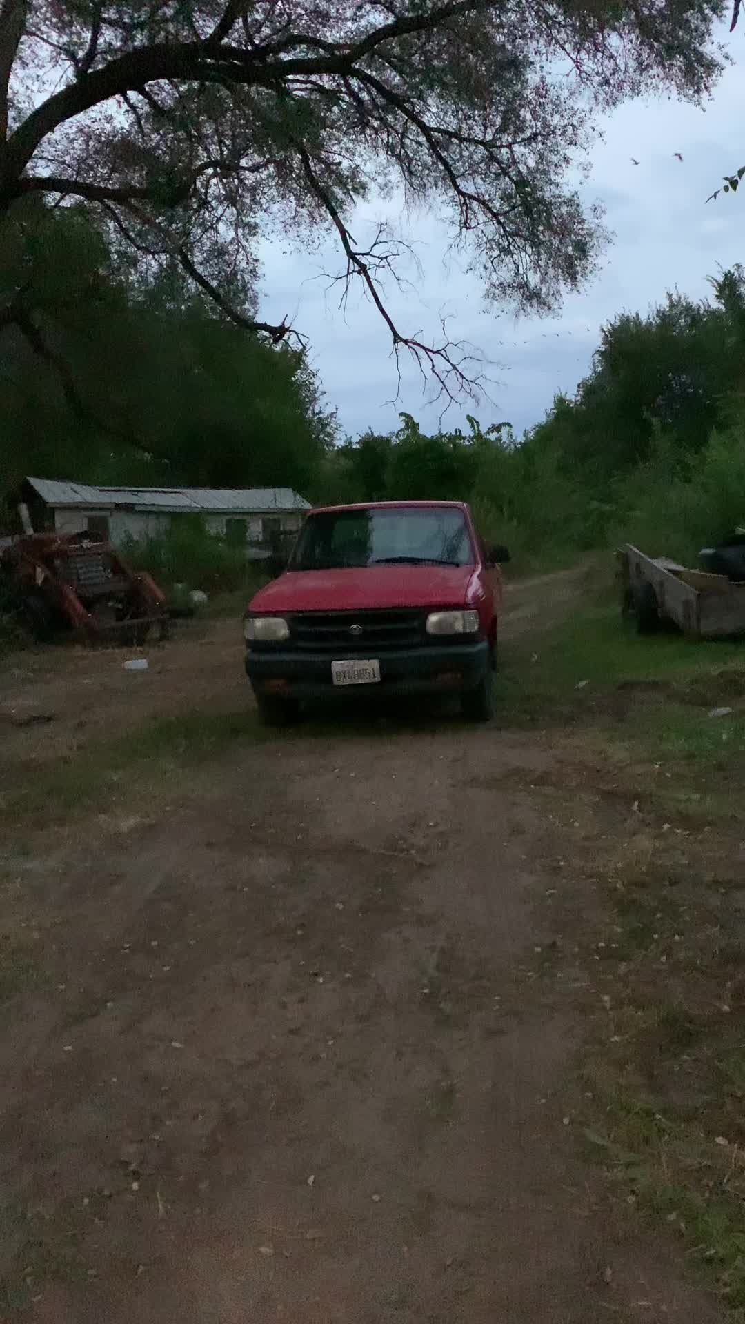@lonestarsilverspur