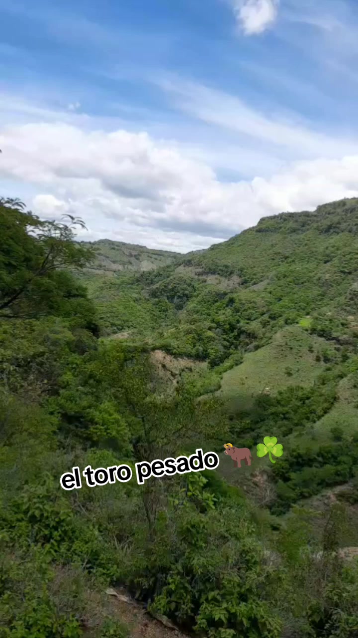 @el toro pesado 🐂☘️
