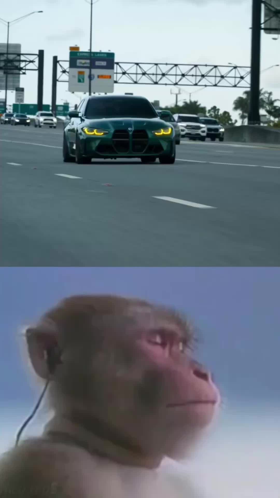 @CARS HYPE