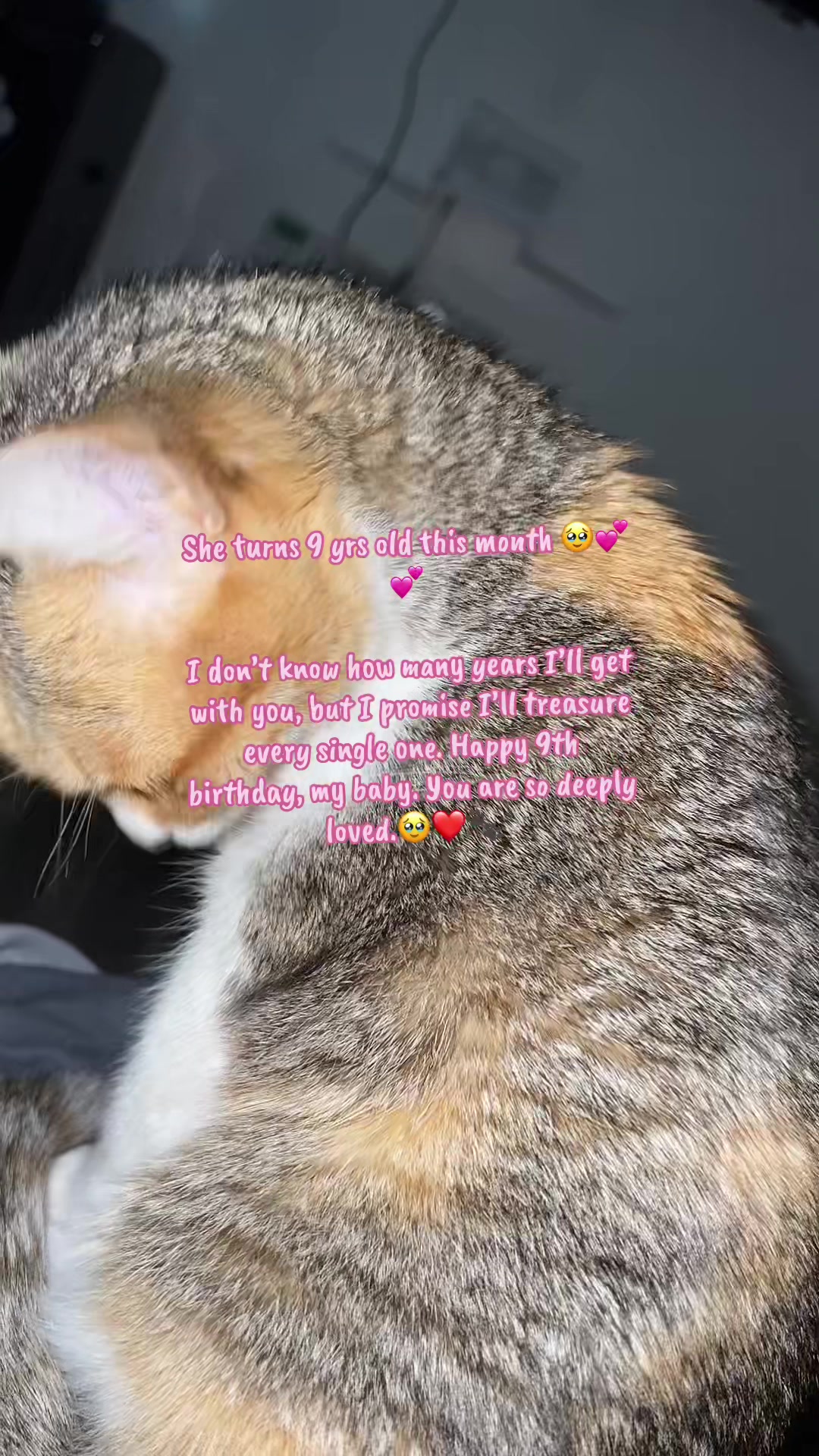 @Slaybytinnah