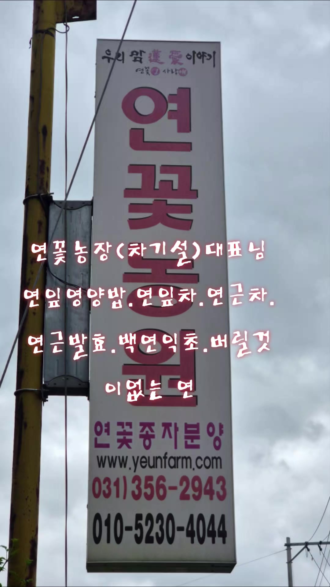 @๐ฐ๐ท๐์ก์ฐํฌ๋์ธ๋๐๐ฐ๐ท