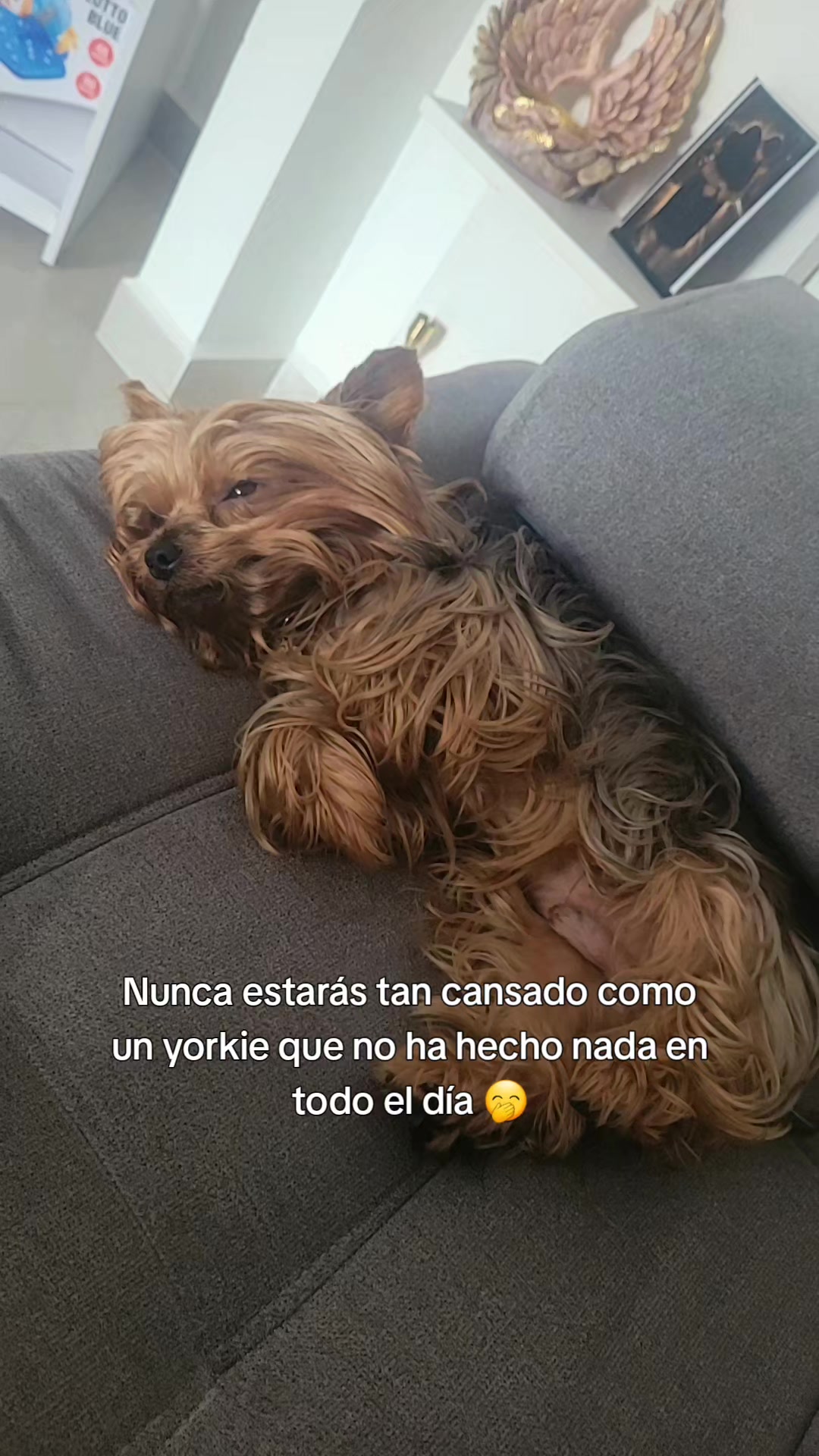 @Aleja Zulu 🧿🪬