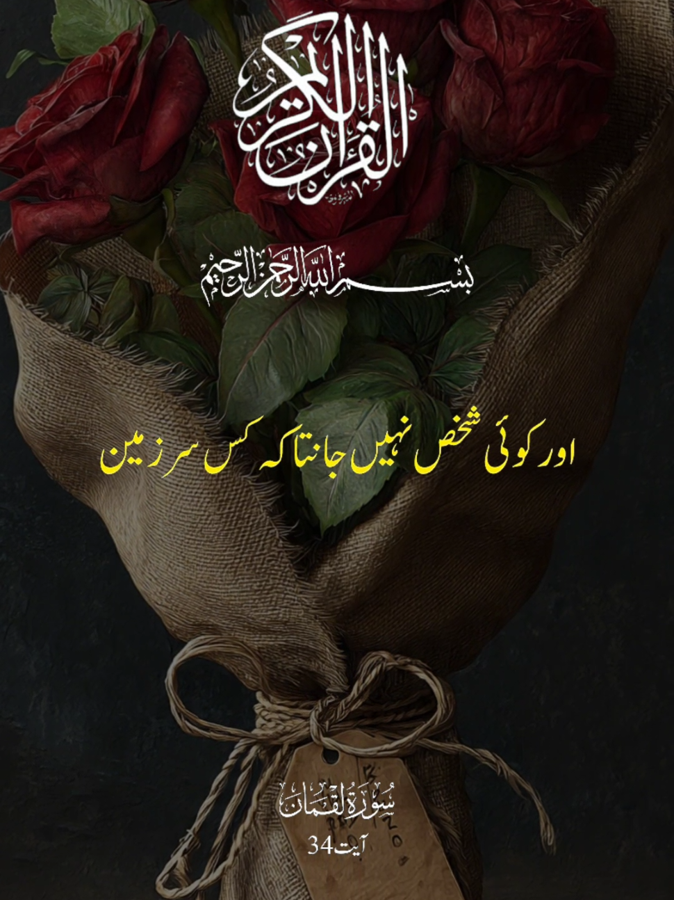 @Aimen Usman