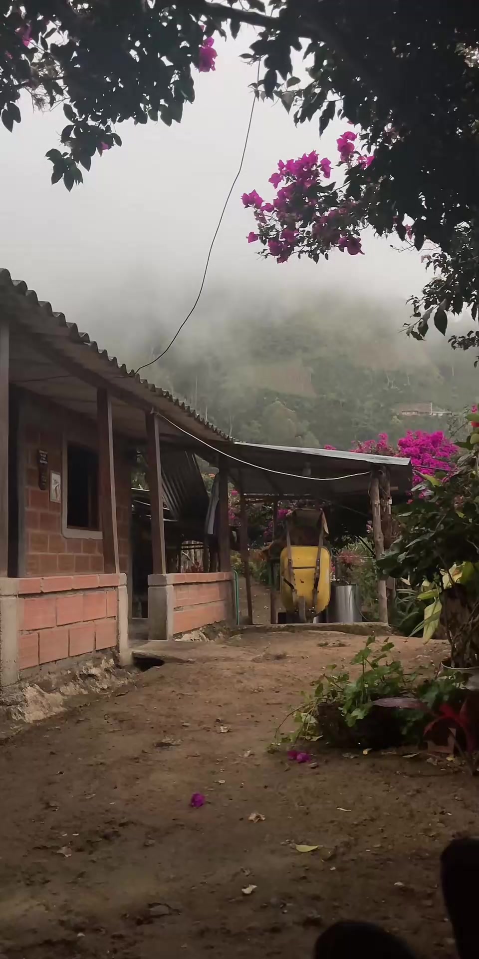 @𝐍𝐀𝐑𝐔𝐎𝐅𝐈𝐂𝐈𝐀𝐋 🫡💕