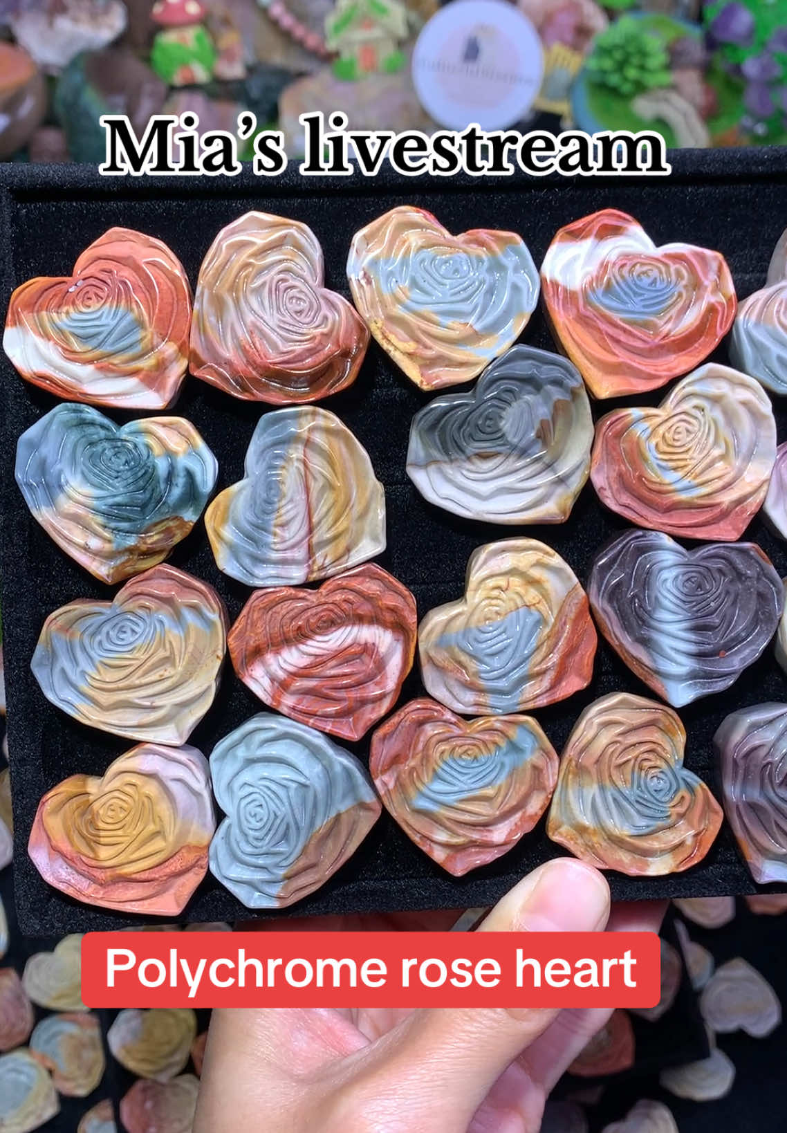 @ColorfulsisterUS