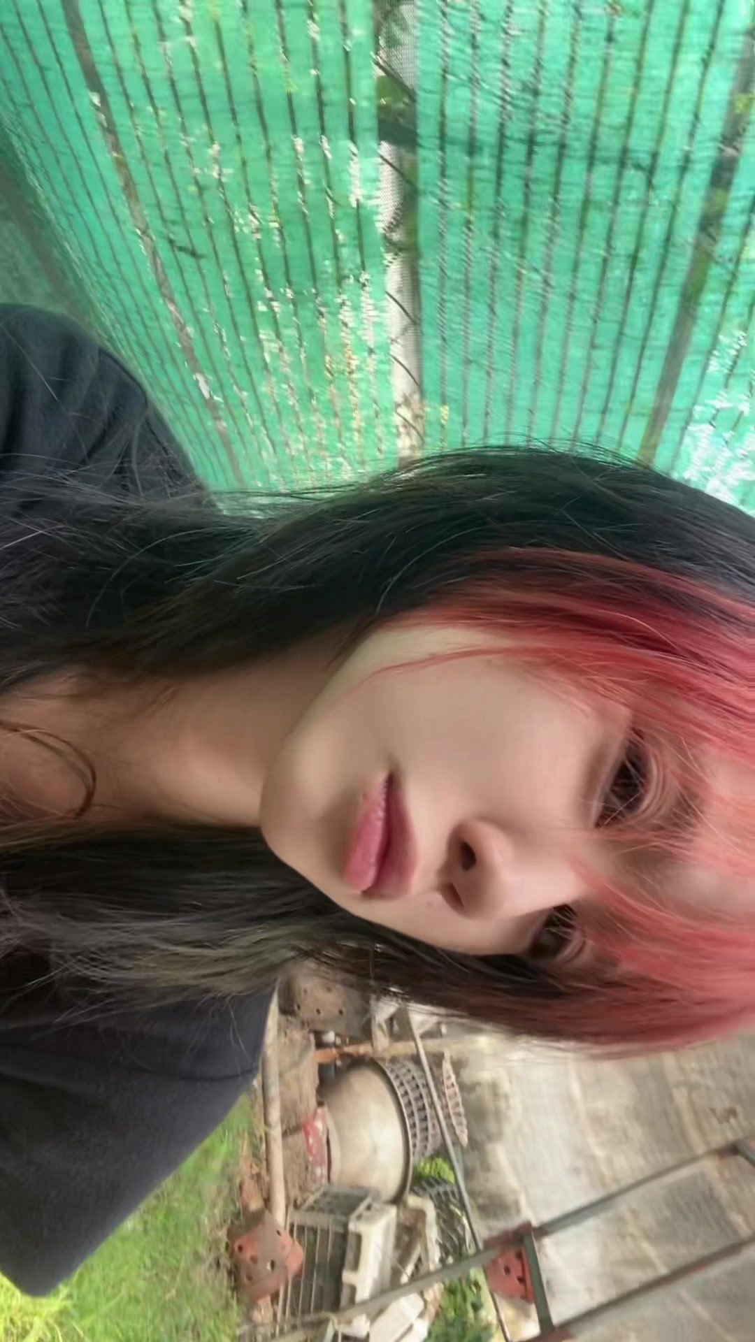 @brit nêy xì po
