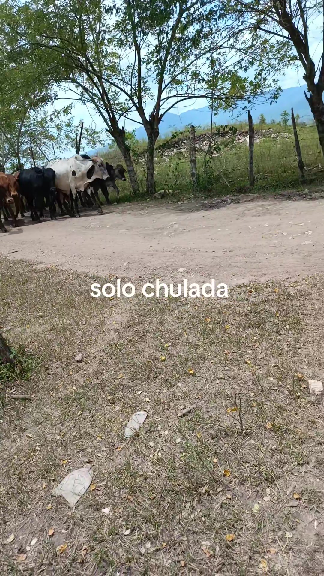 @maykel Mej&iacute;a
