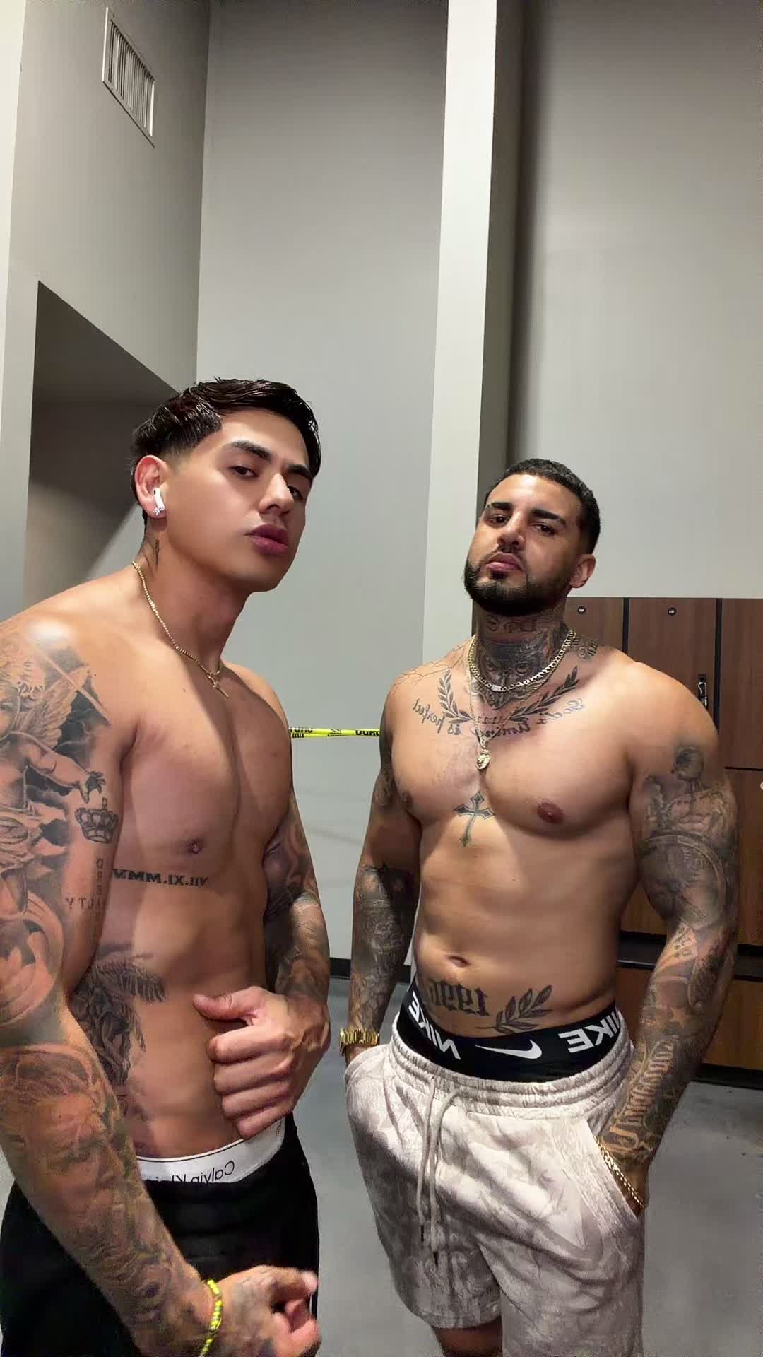 @Elflorex7 🦉