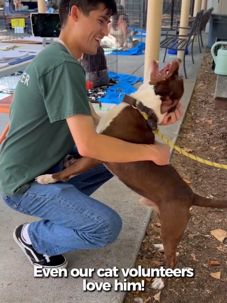 @Oakland Animal Services