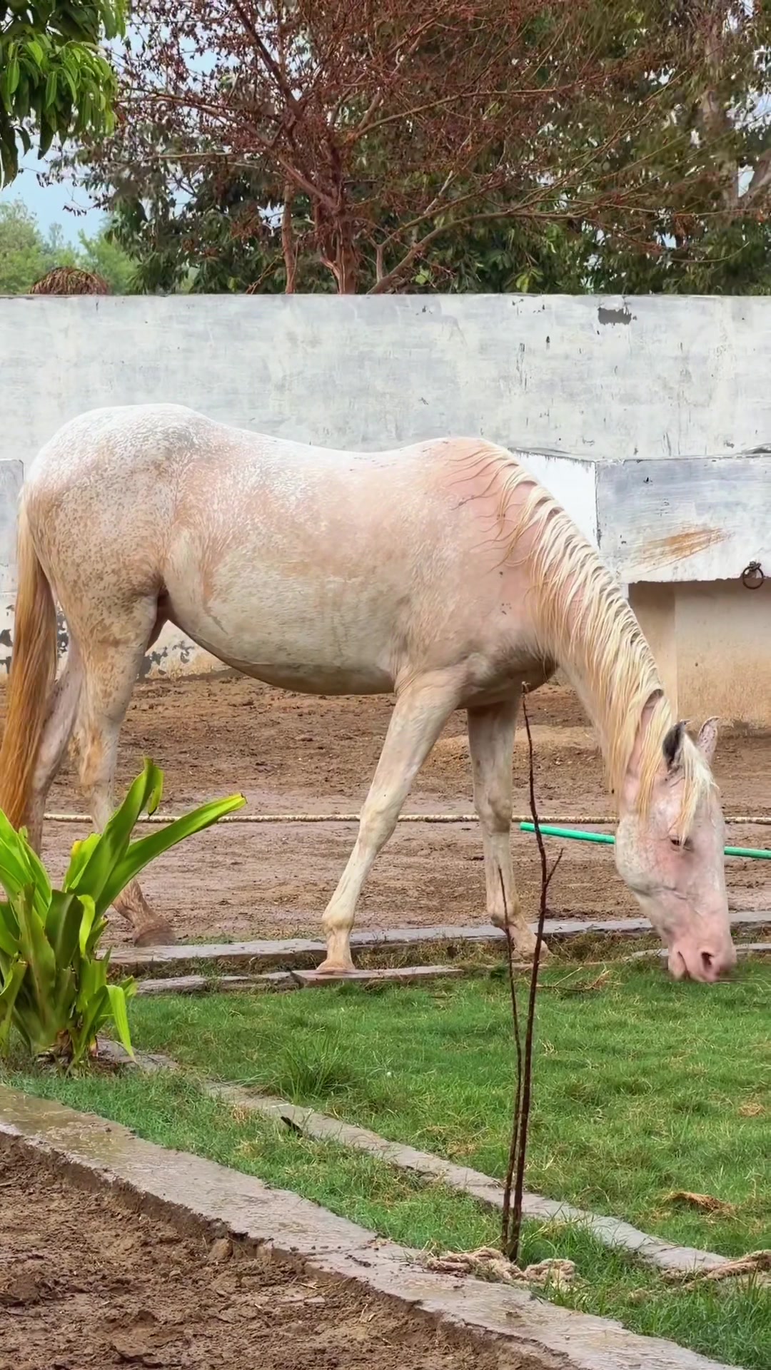 @Talha Ghouri