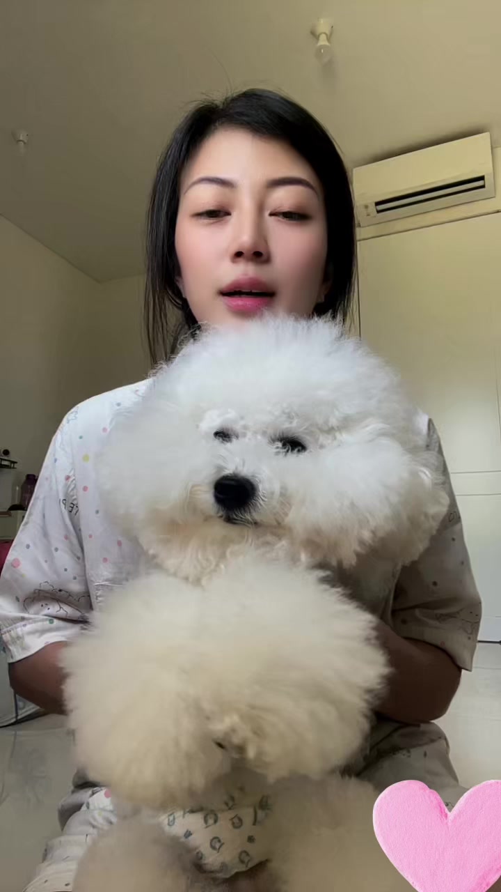@Chokces