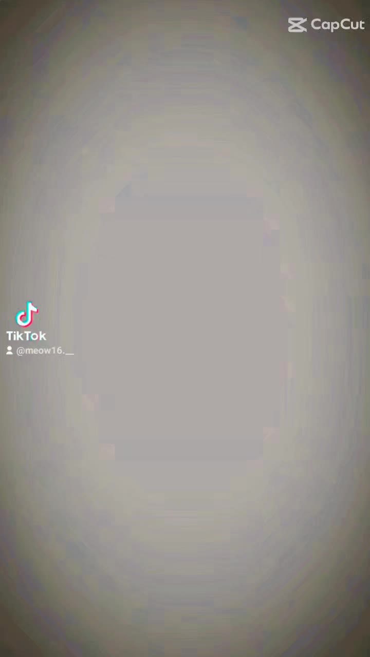 @meow16.