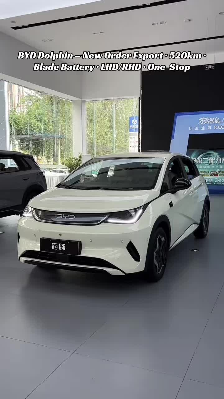 @China Car Exporter|Sasa exit