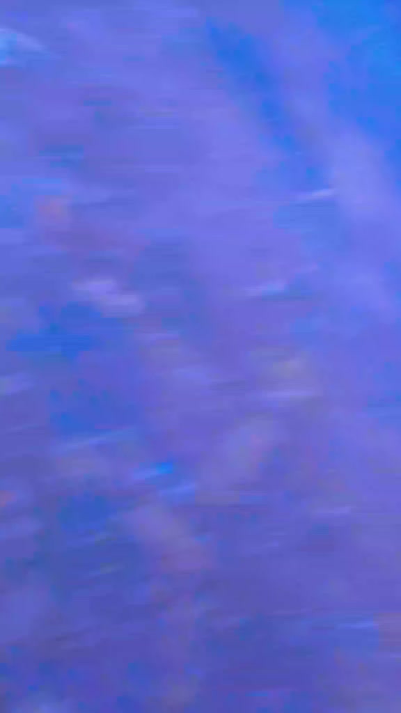 @odgad