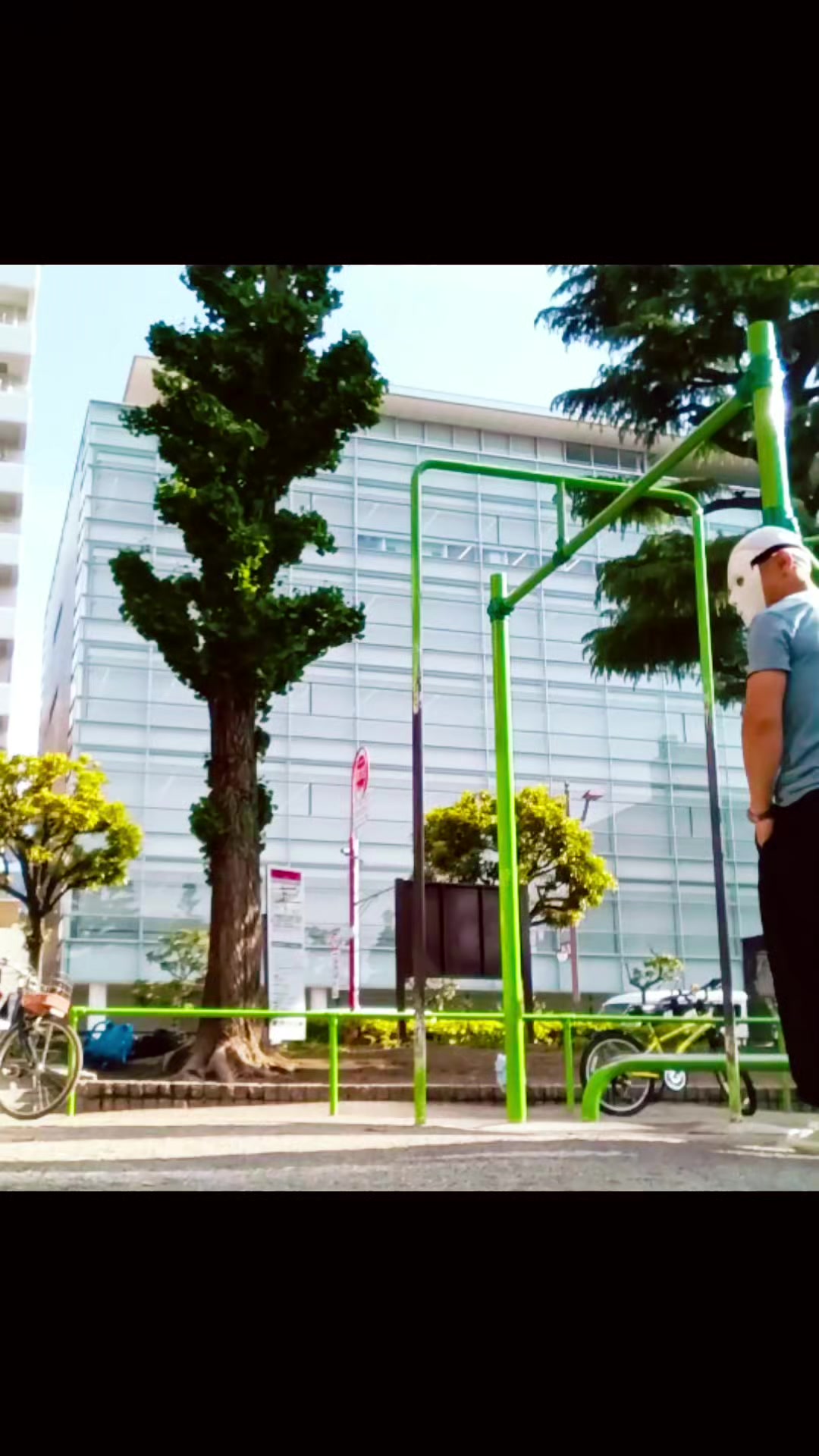 @燃焼系🔥鯉のぼりWalker