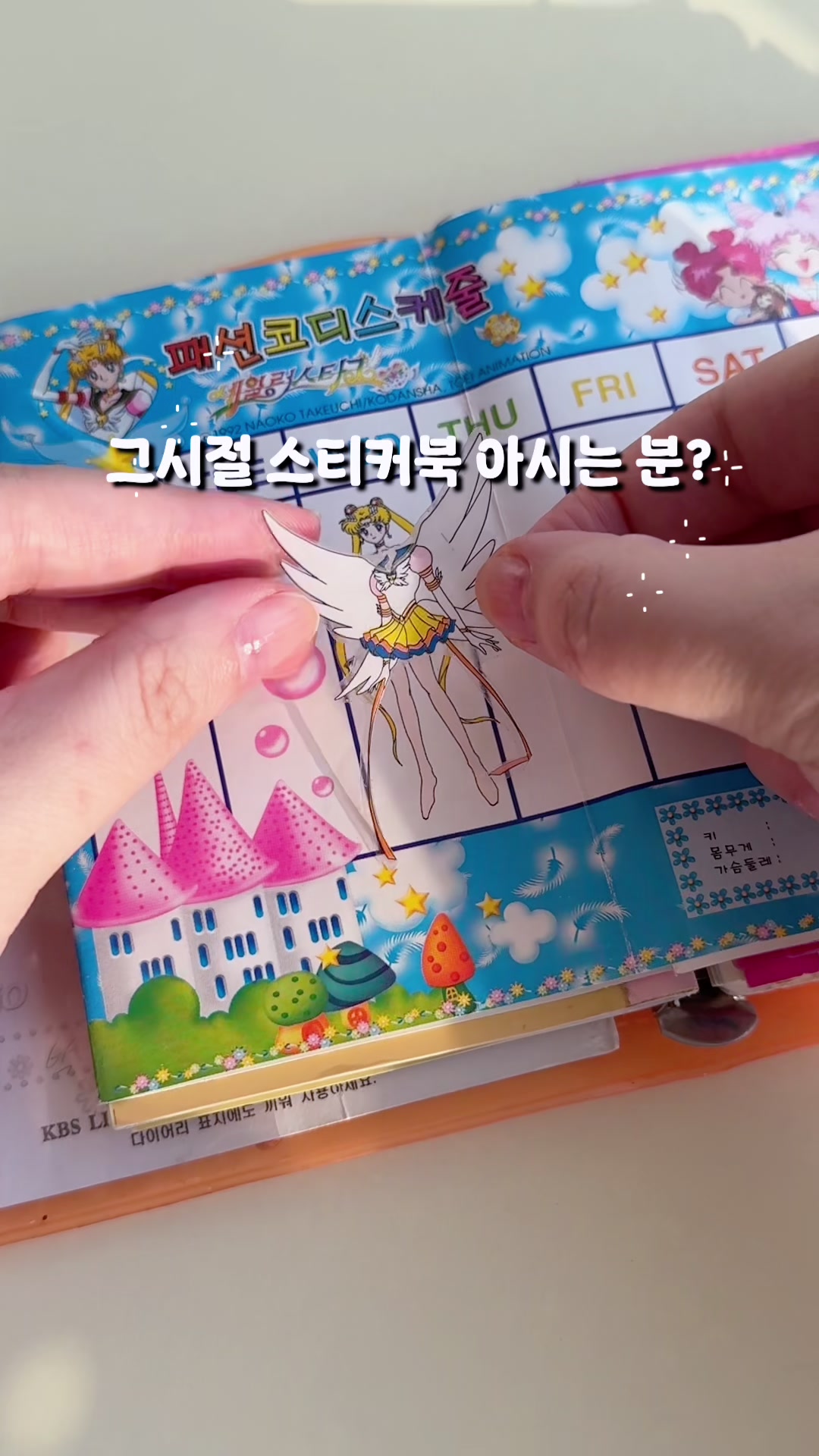 @마니랜드 Mani Land