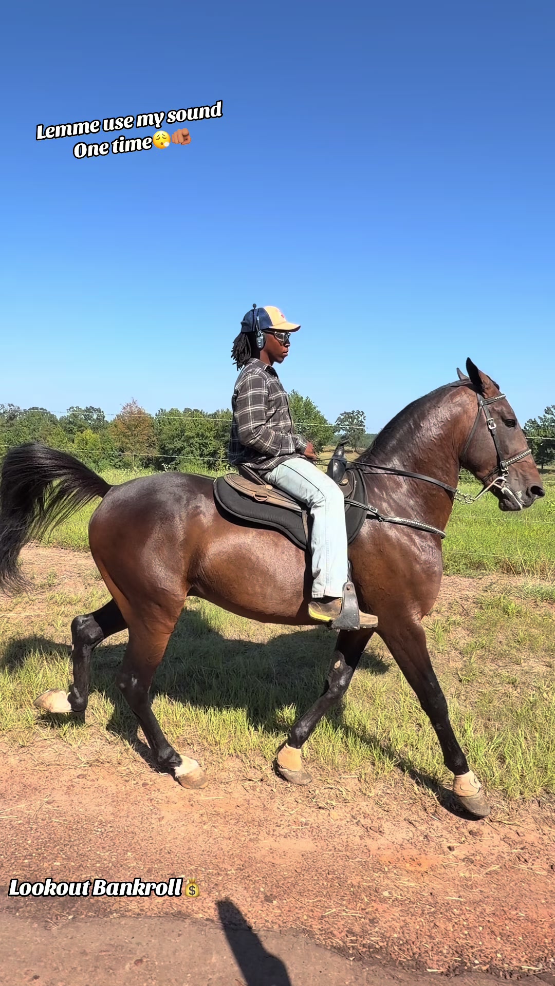 @ELI;)
