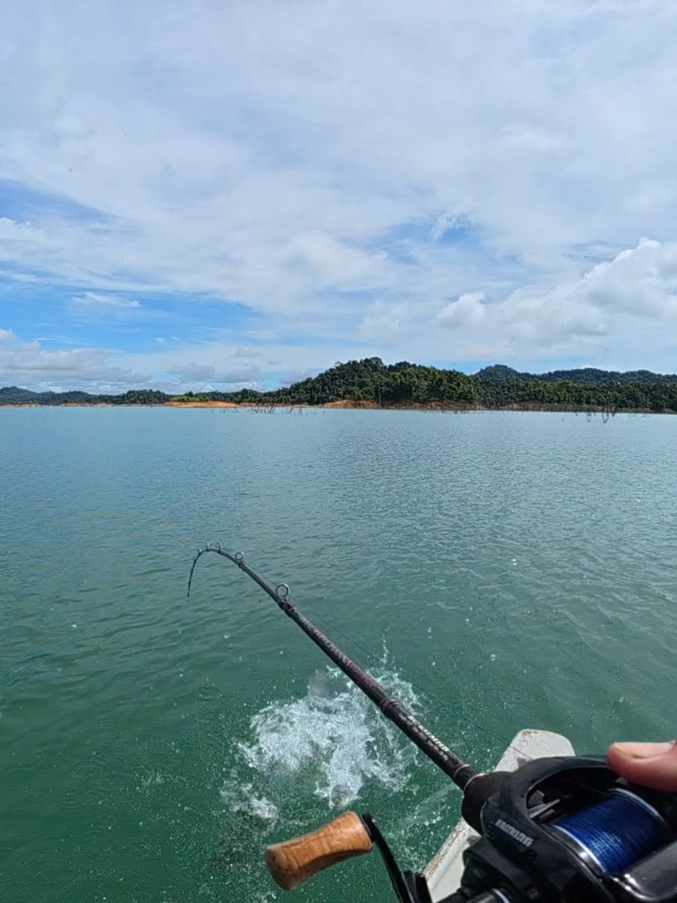 @Damz Strike Fishing
