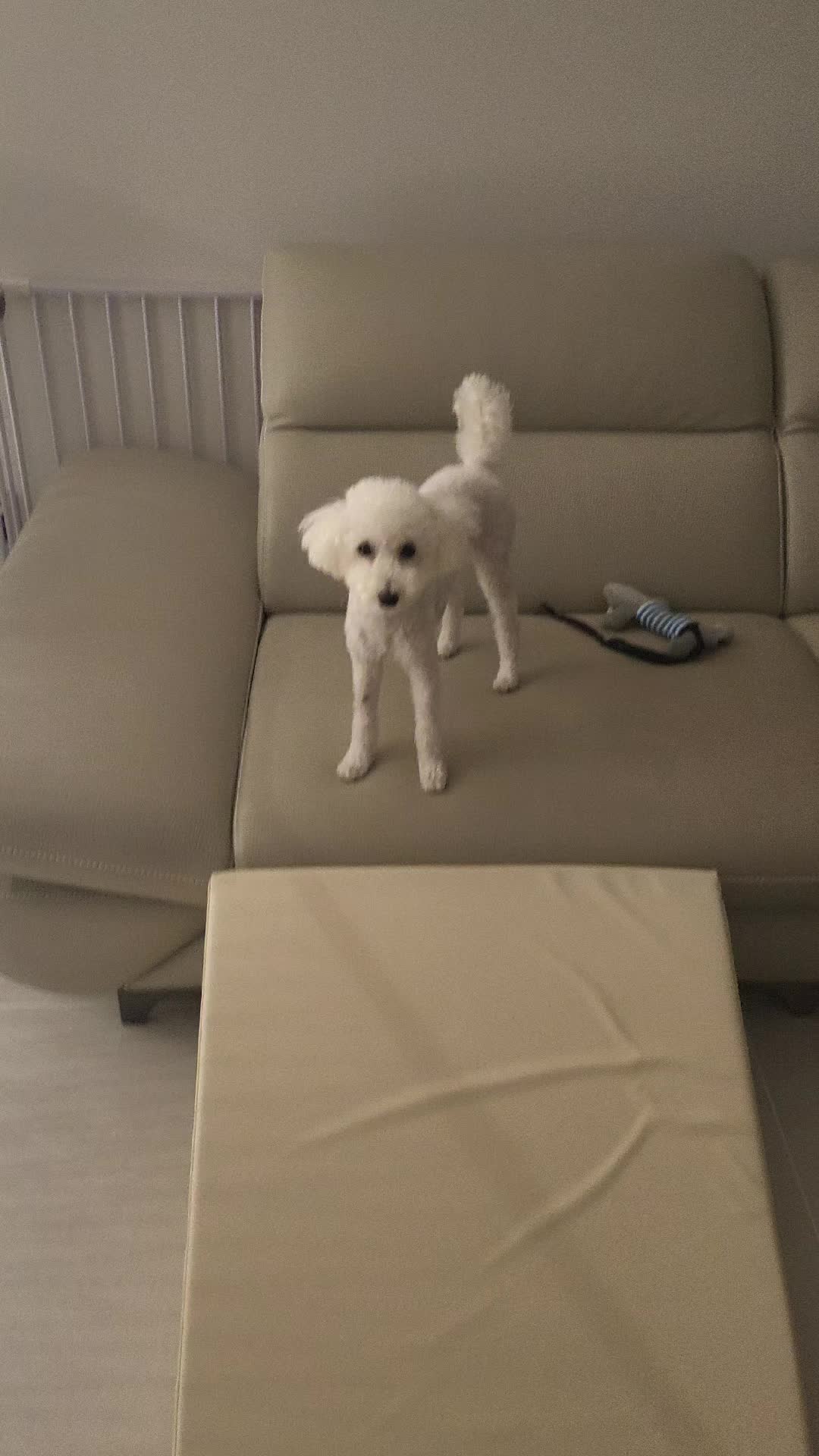 @코우
