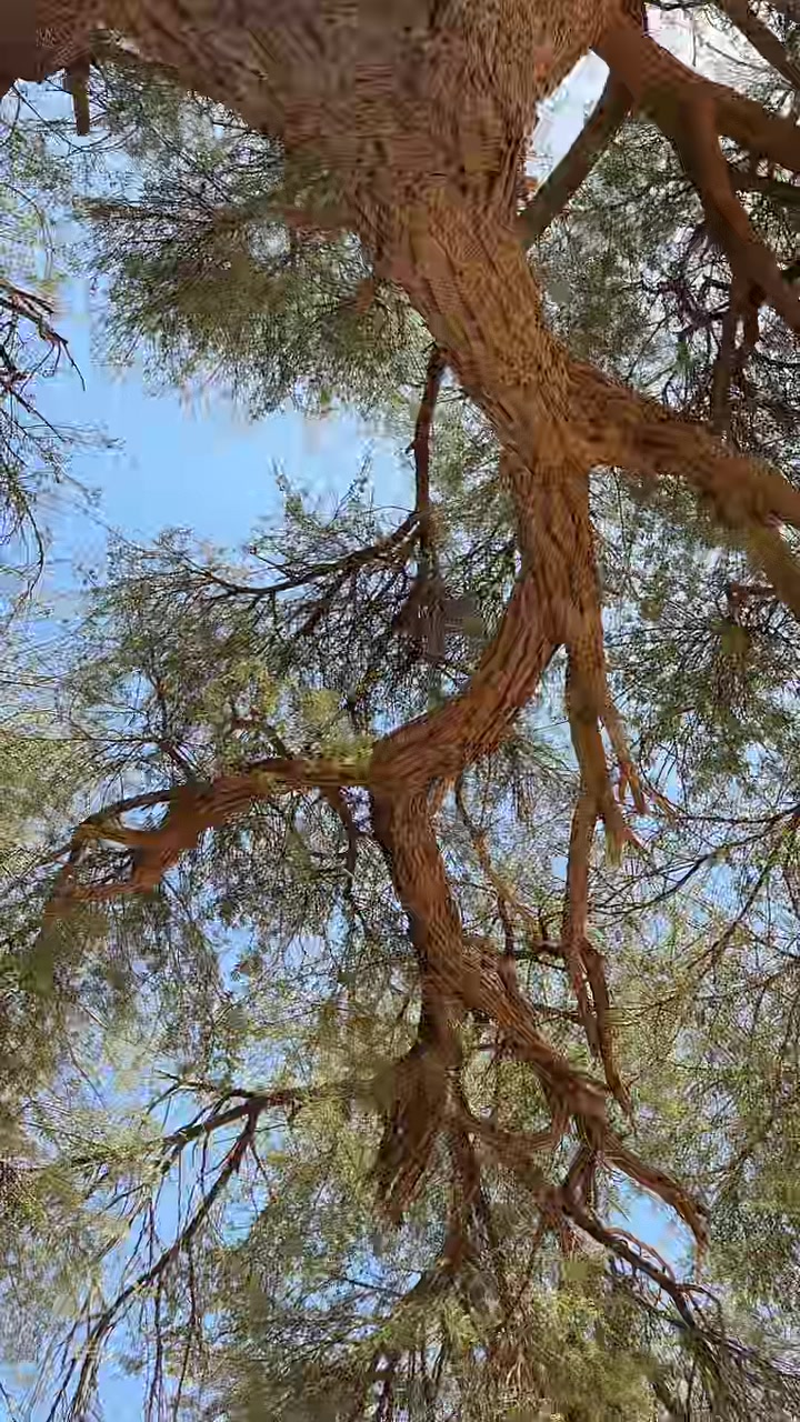 @بـوح المقوعي Ք⁴°⁴