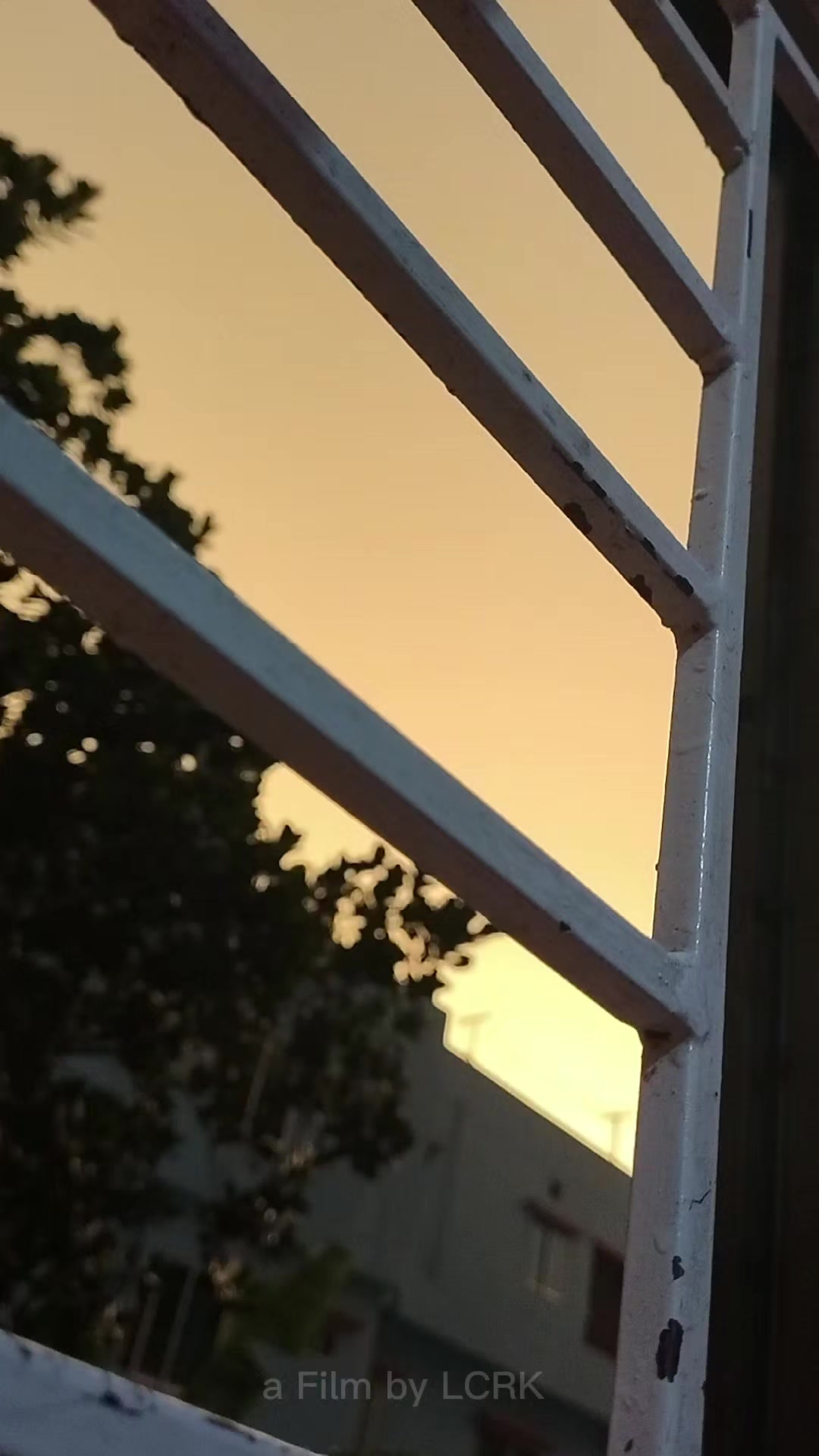 @🦋✨
