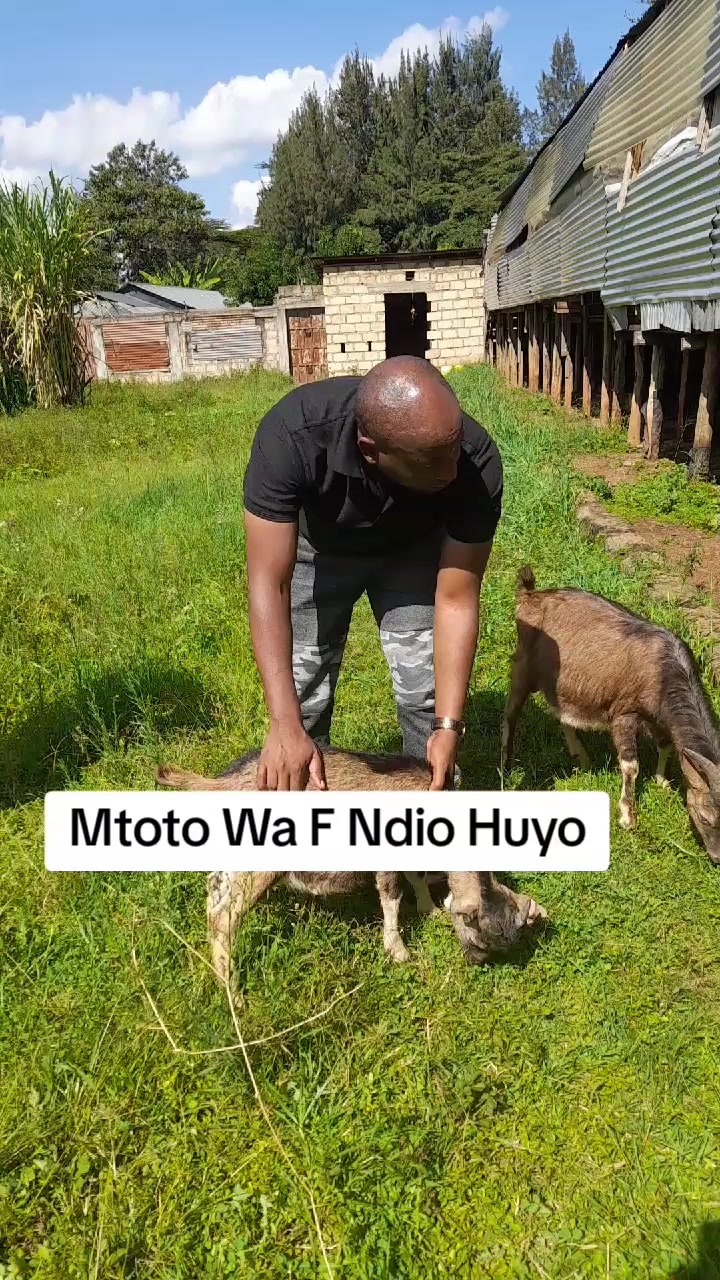 @Sam Kariuki