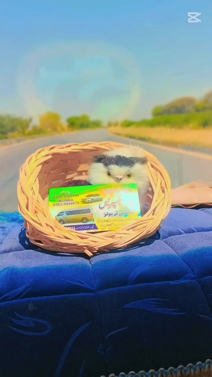@Mehran。Akhon