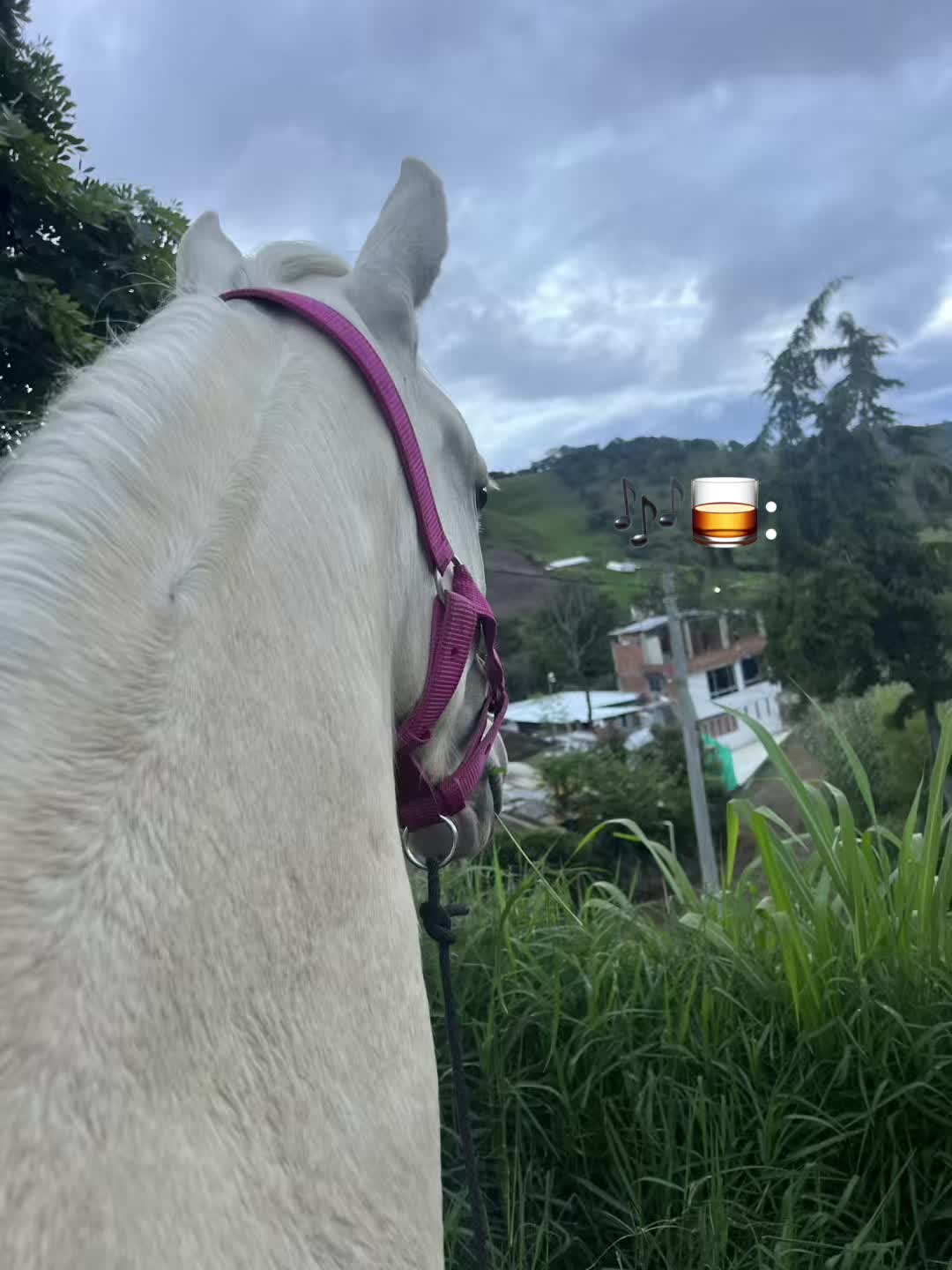 @Santiago_Ortega_🤠🍀🚀