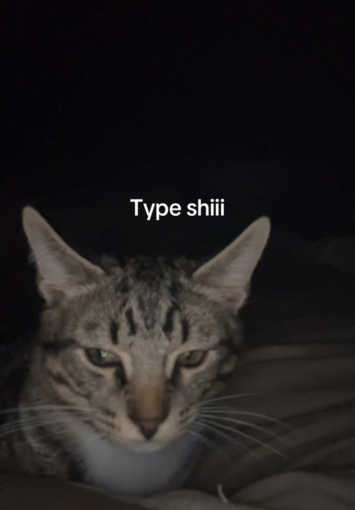 @Taka
