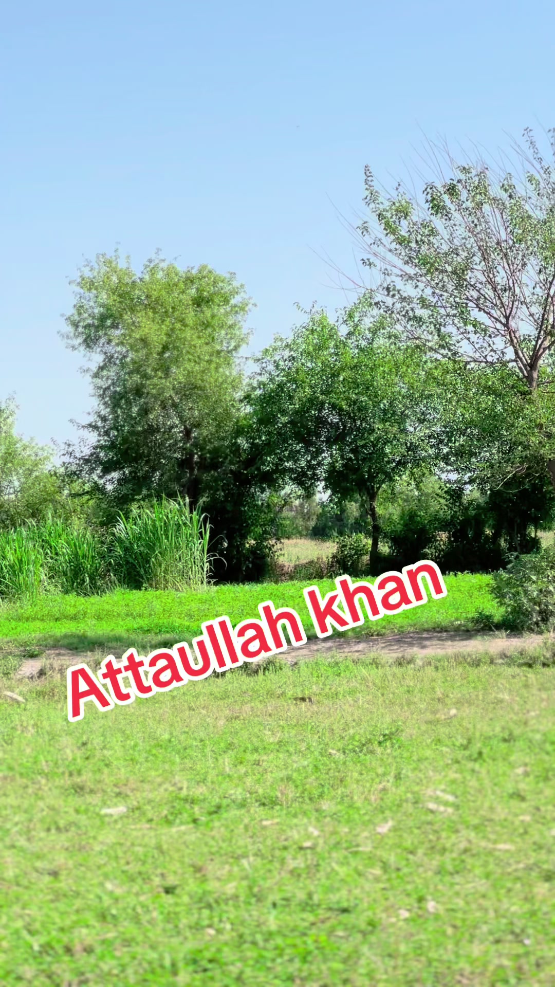 @MalikAryanKanjan🥷🏻