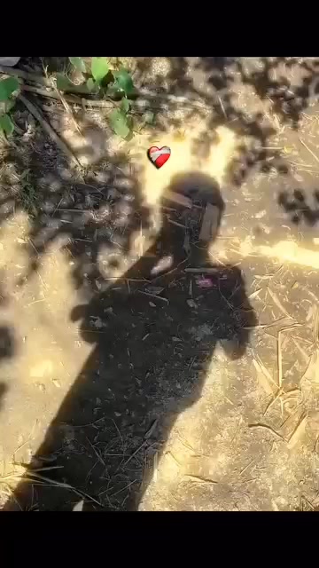 @×͜× ᴄʀᴀᴢʏ 𝙱𝙾𝚈࿐
