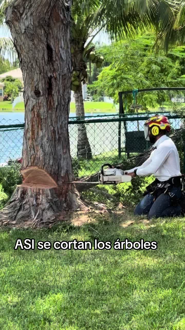@Franco Tree Service Pro