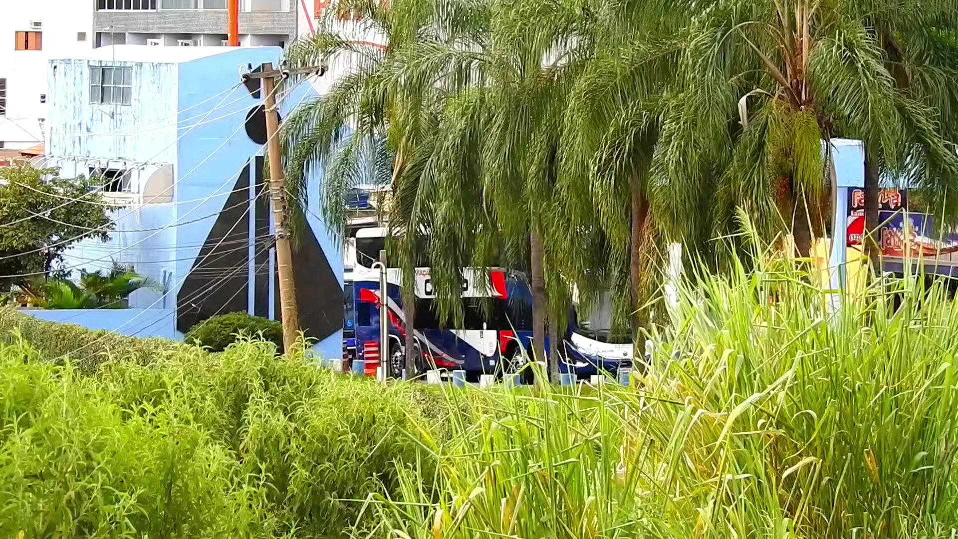 @ᴇᴅɪʟꜱᴏɴ ᴠɪᴅᴇᴏ ʙᴜꜱ🚍