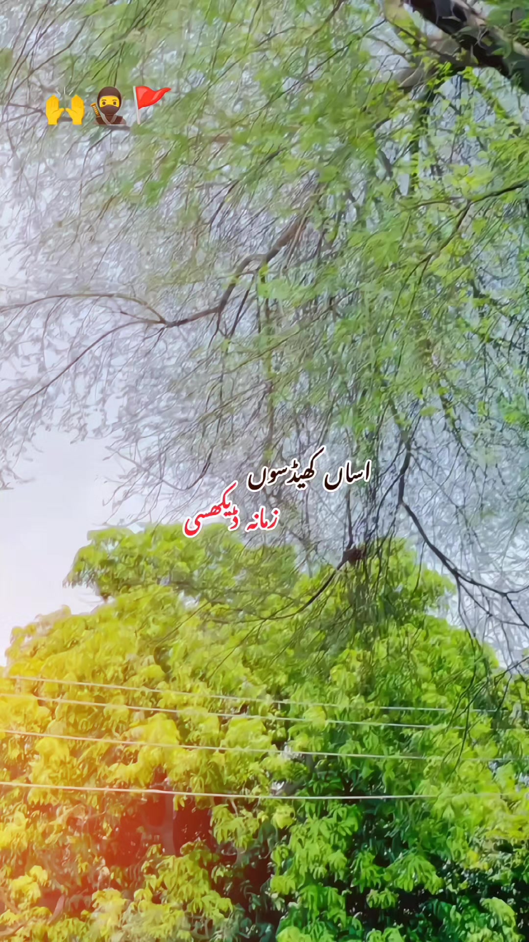 @راجـــــو ♣