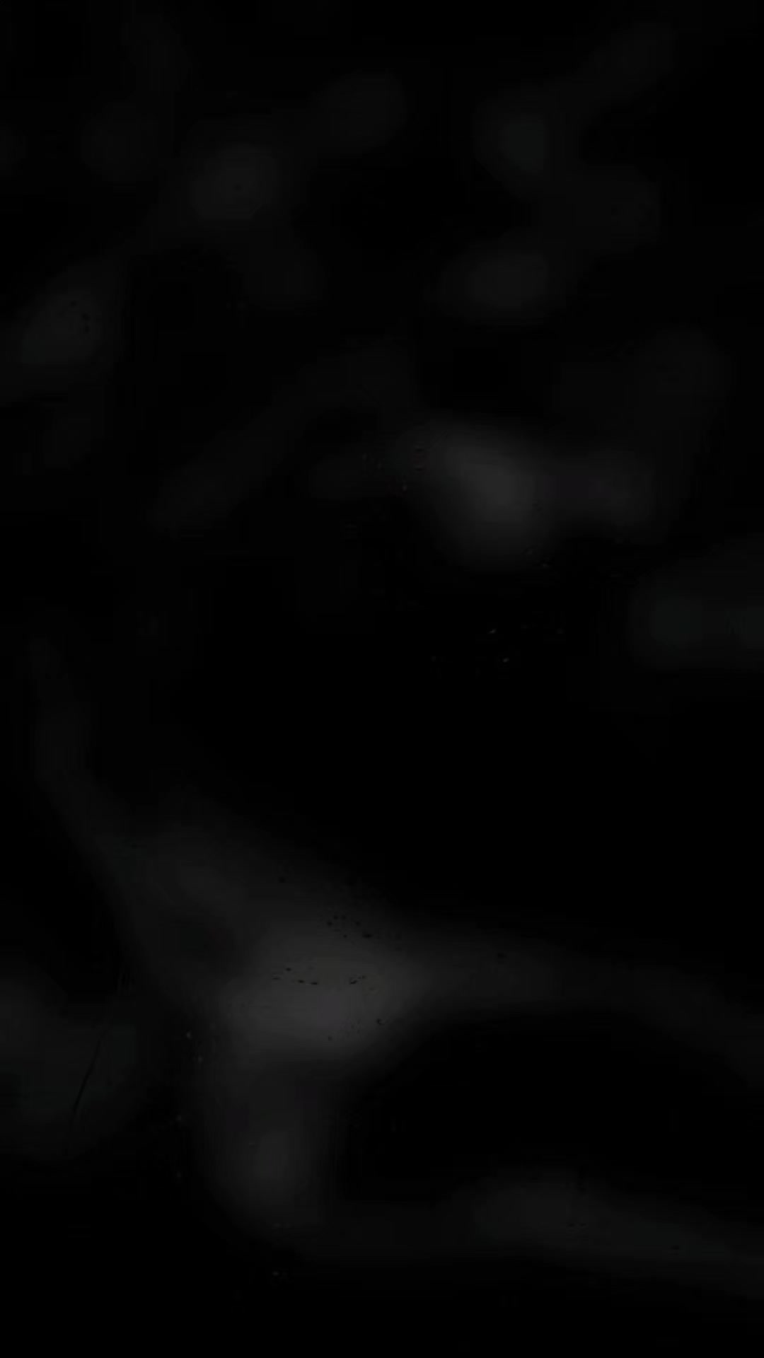 @𝐎𝐧𝐥𝐲𝐒𝐨𝐧𝐠𝐬