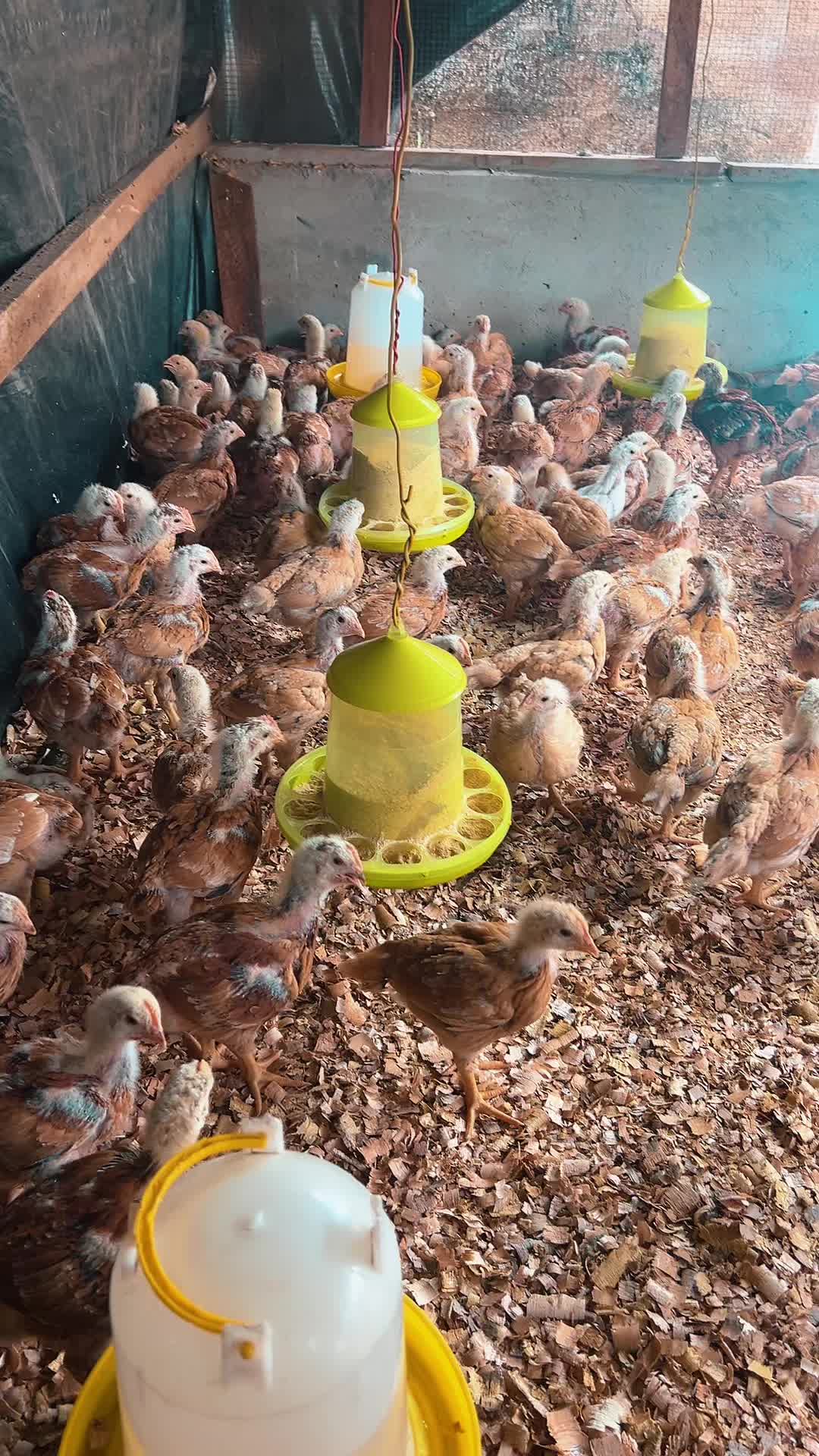 @evansjobsfarms
