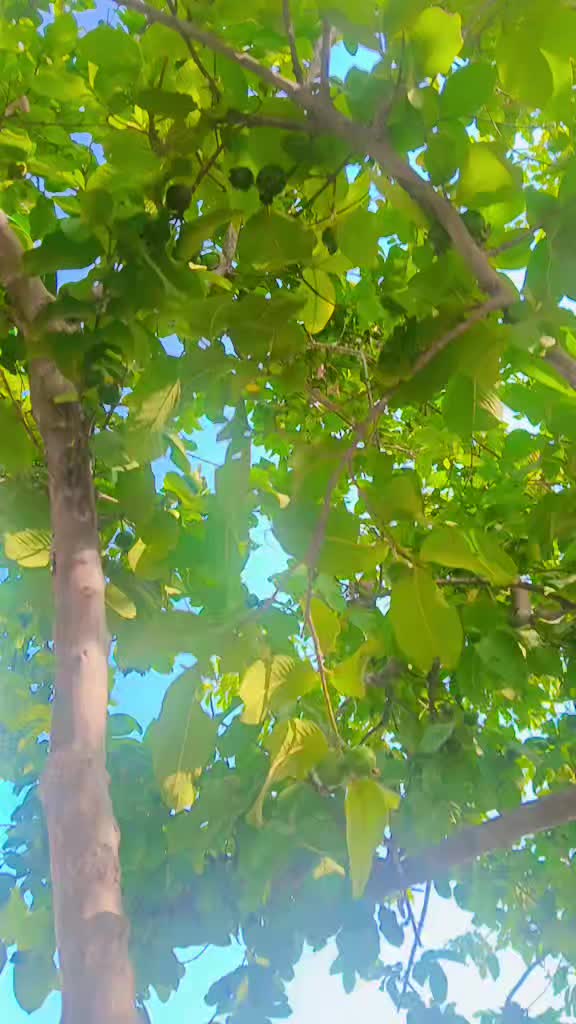 @Nadeemluky