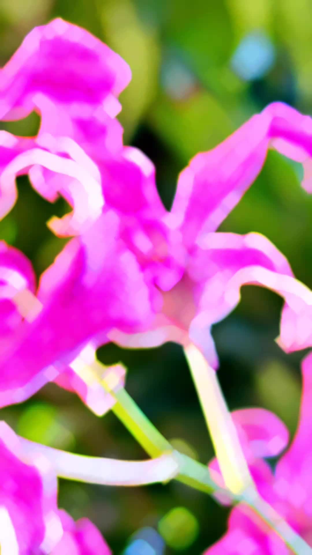@Jacobi_Vina