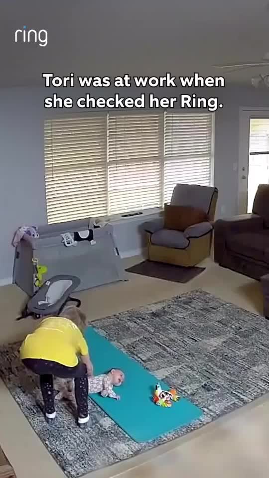 @RingDoorBellVideos