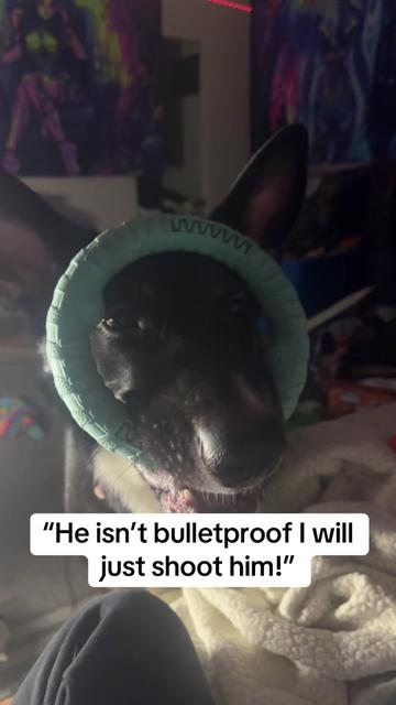 @TheHellHound