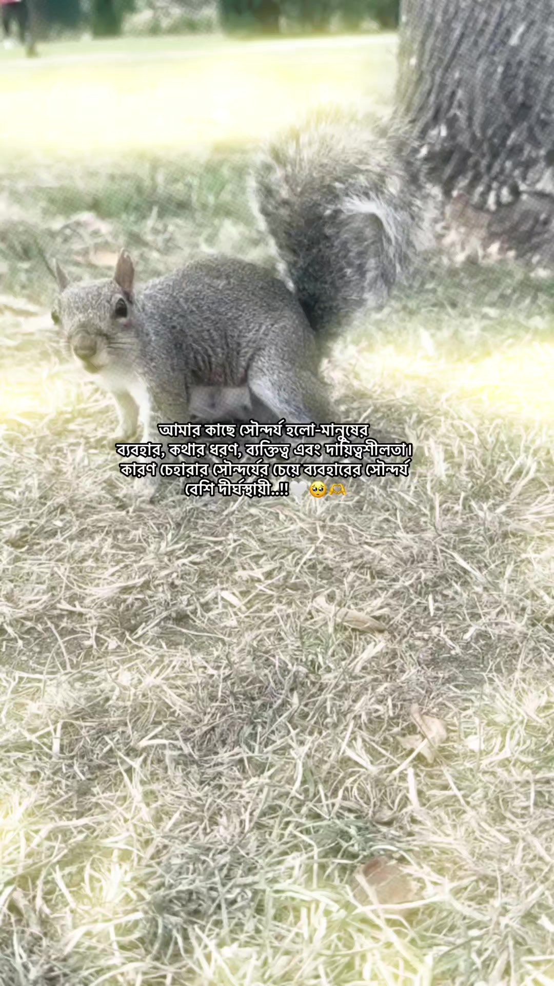@𝗥𝗮𝗶𝗵𝗮𝗻 𝗕𝗵𝗮𝗶𝘆𝗮𝗮'✨