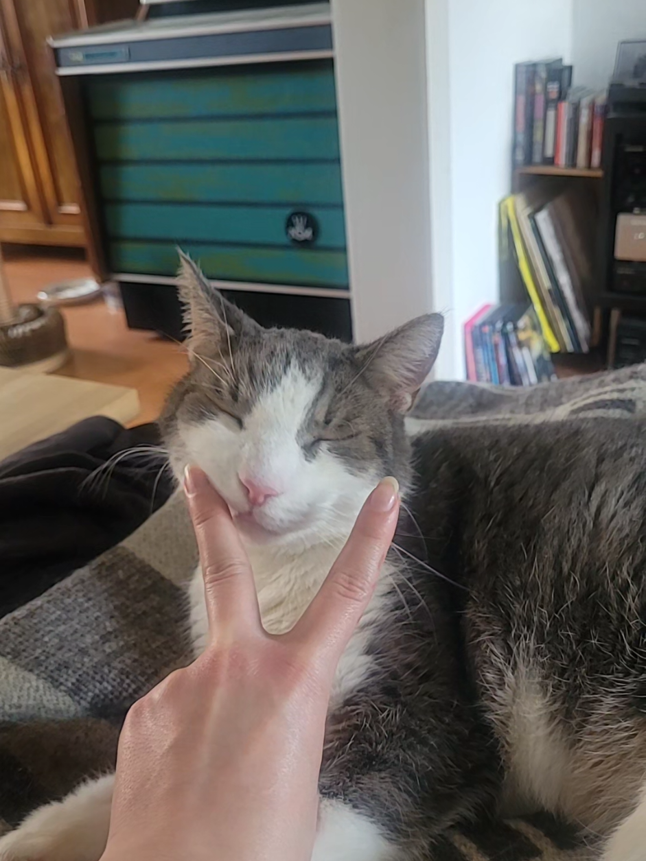 @Svantje🐈⬛