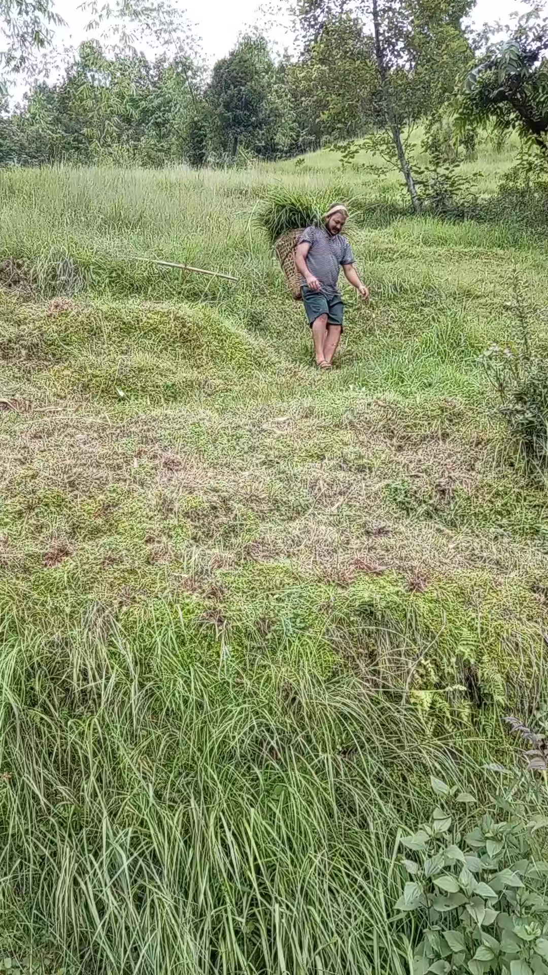 @क्षेत्री ट्राभल्स (9749377114)