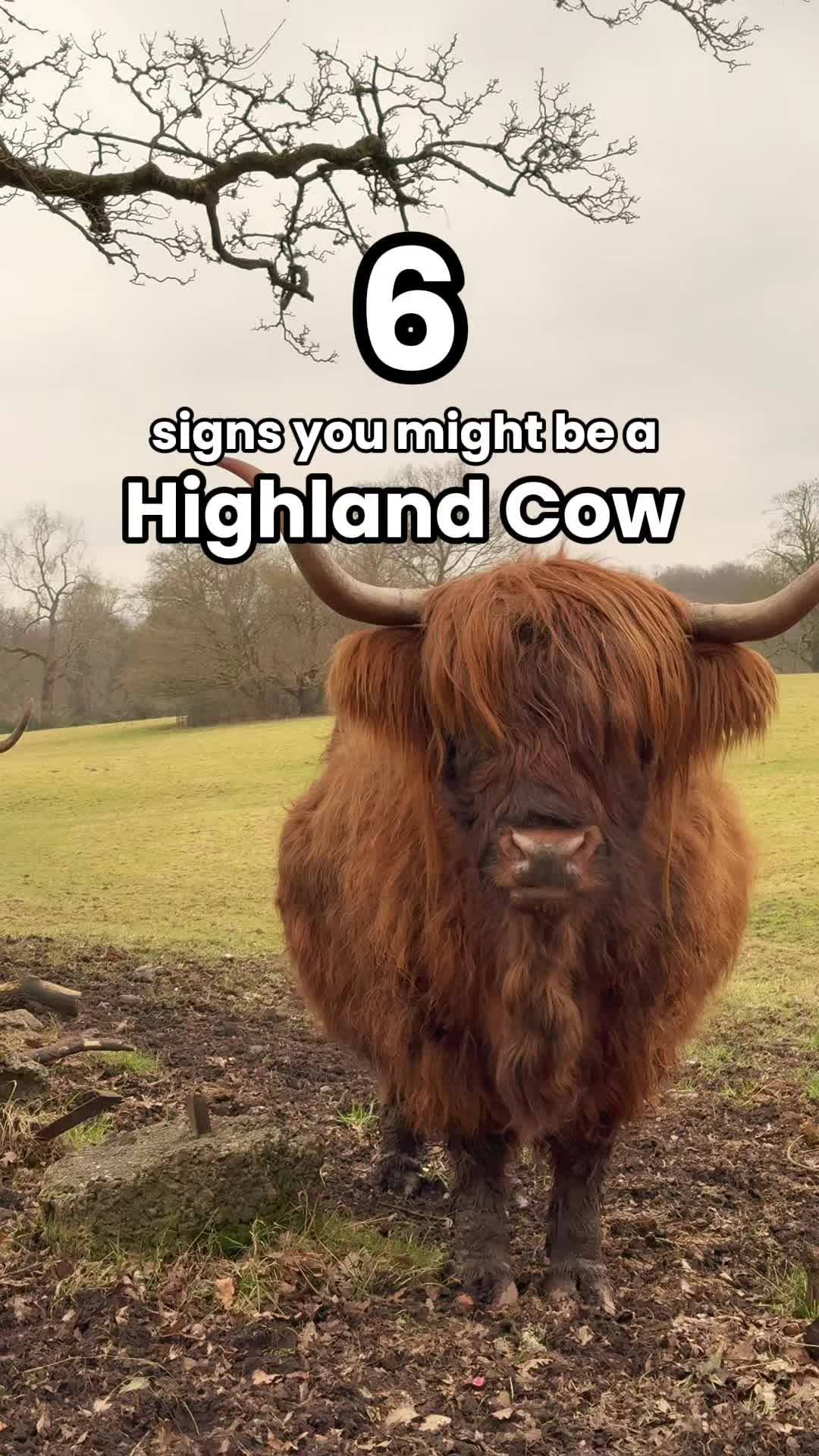 @VisitScotland