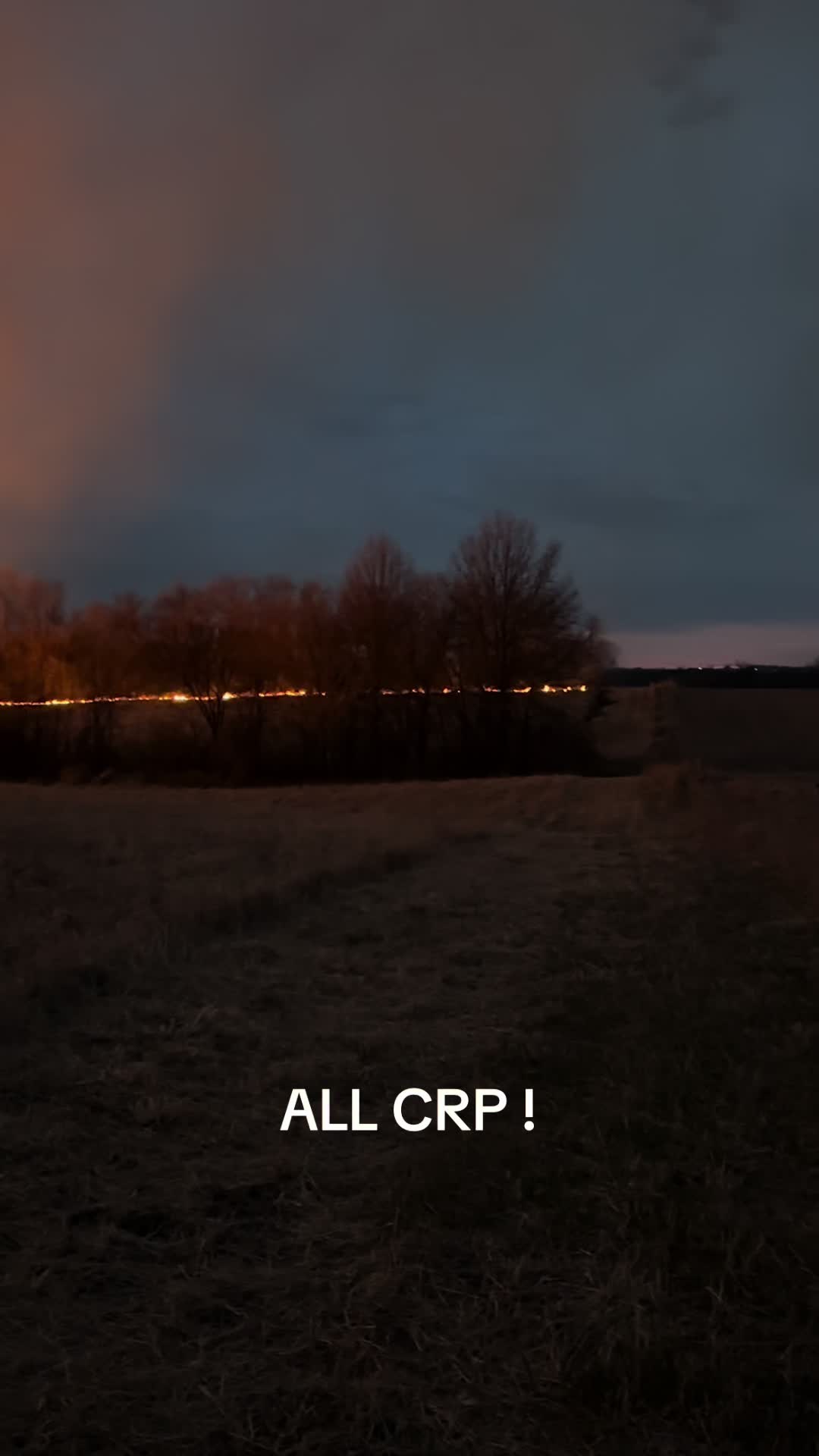 @allcrp