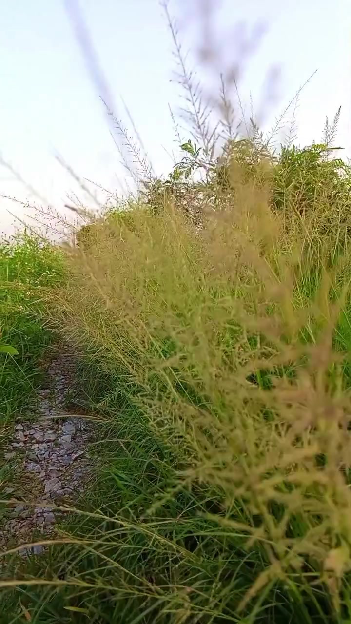@Phạm Văn Thảo