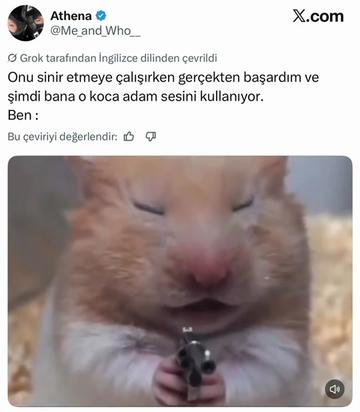 @✨ 𝑬𝒇𝒖𝒚𝒍𝒎𝒛 ✨