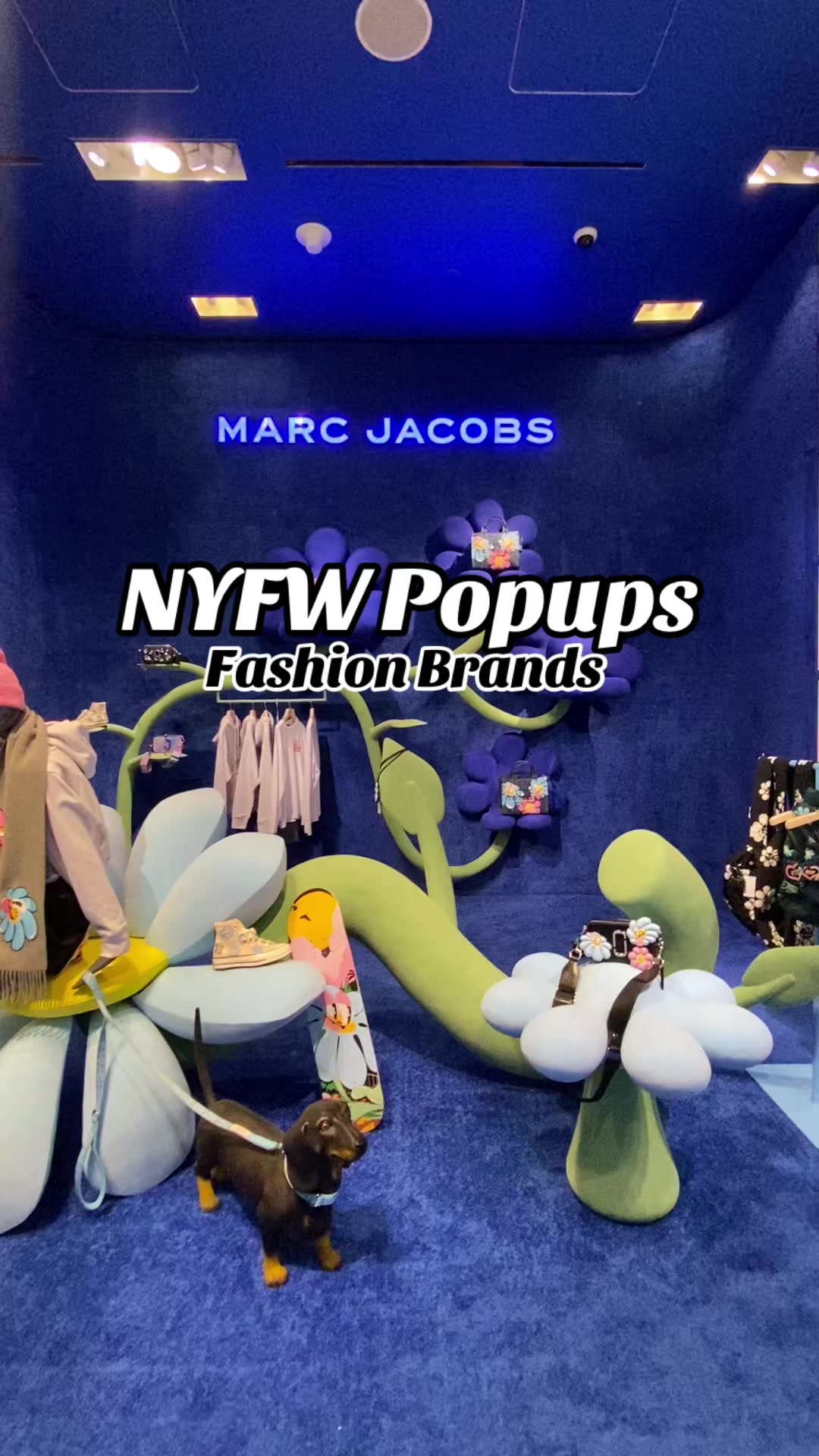 @Popupswithpatricenyc