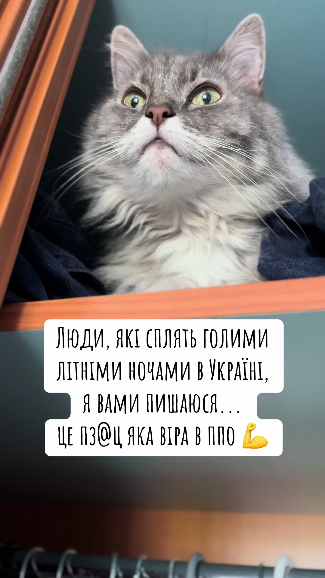 @timka.kit