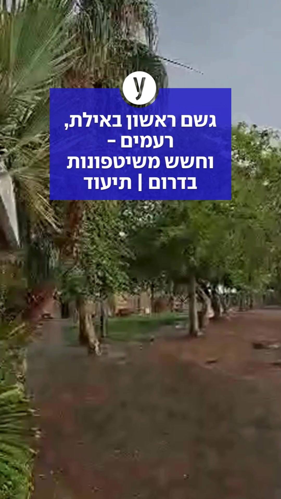 @ynet